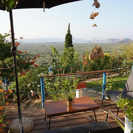 Апартаменты Agnanti Tragana (Messenia)